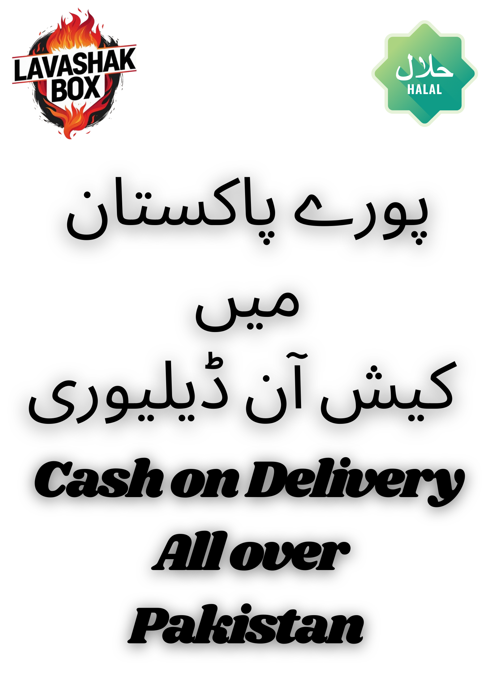 Hand Pulled Speedy Chopper Large Size – Vegetable & Meat Chopper | Buy Online Pakistan lavashakbox